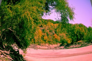 A hallucinogenic sandbar